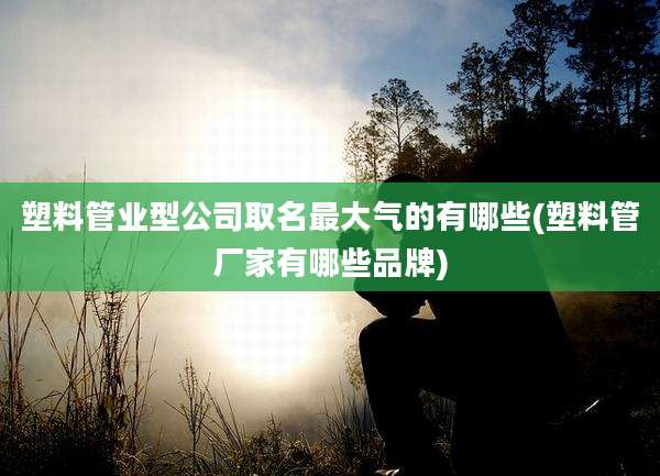 塑料管业型公司取名最大气的有哪些(塑料管厂家有哪些品牌)