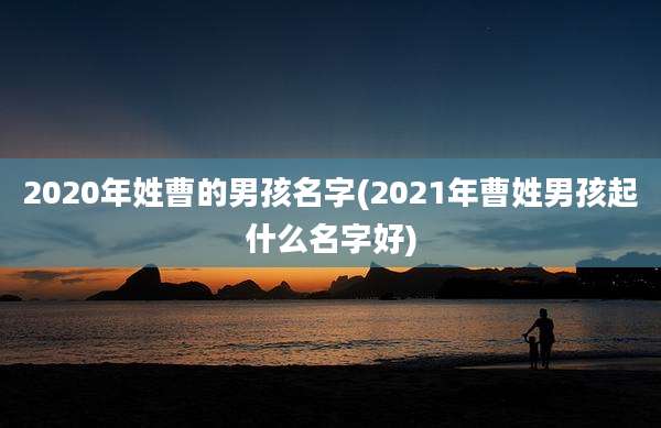 2020年姓曹的男孩名字(2021年曹姓男孩起什么名字好)