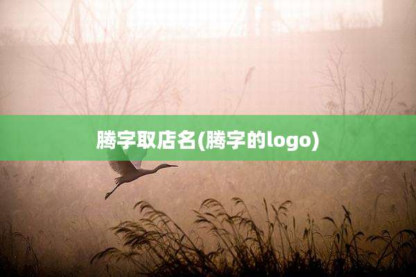 腾字取店名(腾字的logo)