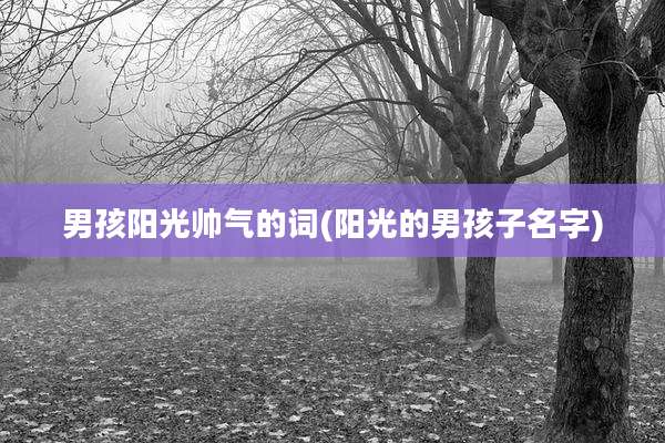 男孩阳光帅气的词(阳光的男孩子名字)