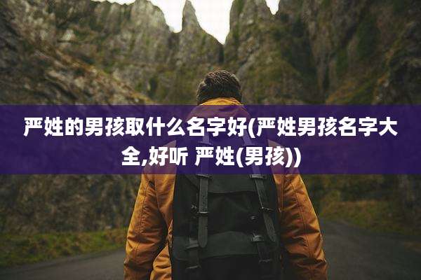 严姓的男孩取什么名字好(严姓男孩名字大全,好听 严姓(男孩))