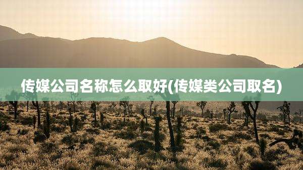 传媒公司名称怎么取好(传媒类公司取名)