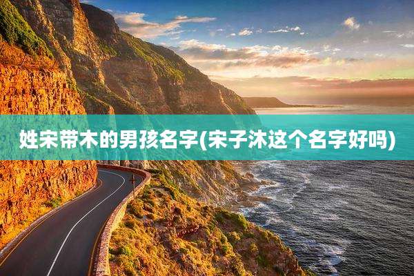 姓宋带木的男孩名字(宋子沐这个名字好吗)