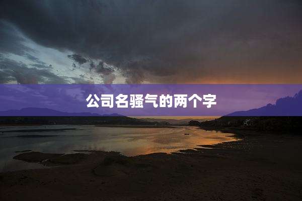 公司名骚气的两个字