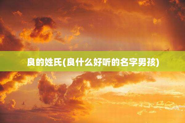 良的姓氏(良什么好听的名字男孩)