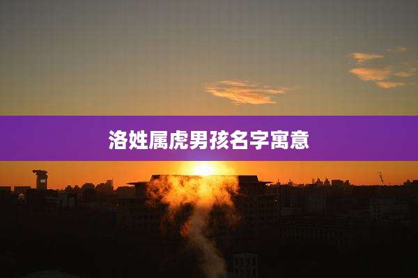 洛姓属虎男孩名字寓意