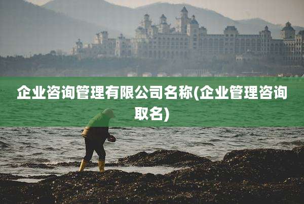 企业咨询管理有限公司名称(企业管理咨询取名)