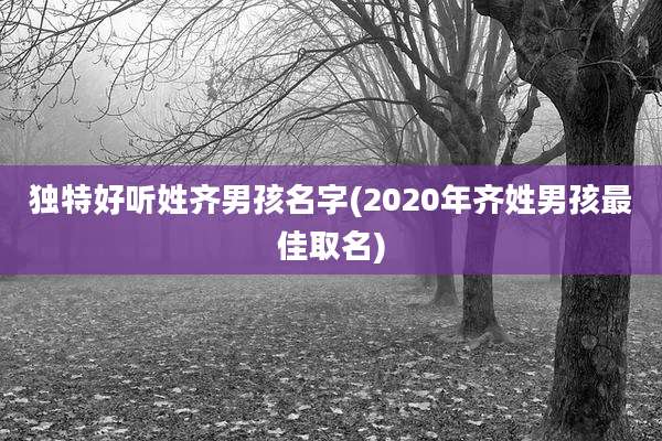 独特好听姓齐男孩名字(2020年齐姓男孩最佳取名)