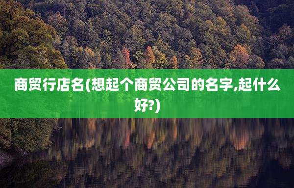 商贸行店名(想起个商贸公司的名字,起什么好?)
