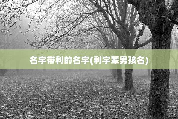名字带利的名字(利字辈男孩名)
