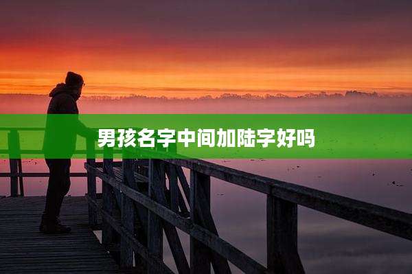 男孩名字中间加陆字好吗