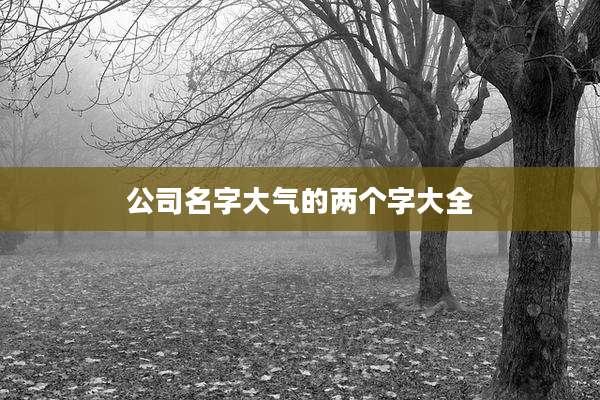 公司名字大气的两个字大全