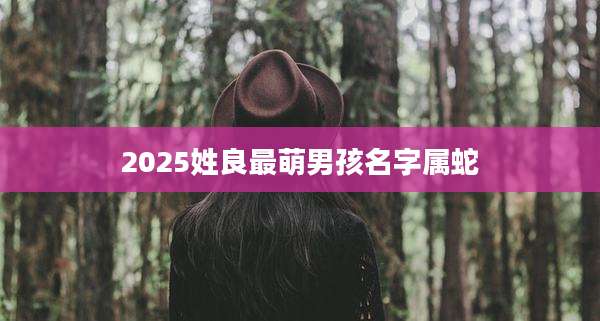 2025姓良最萌男孩名字属蛇