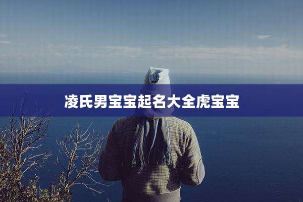 凌氏男宝宝起名大全虎宝宝
