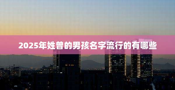 2025年姓曾的男孩名字流行的有哪些