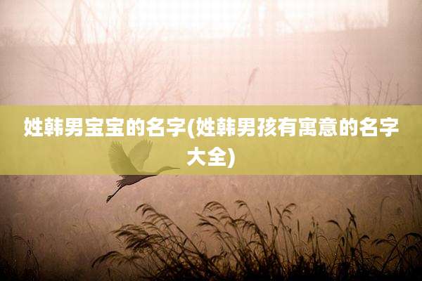姓韩男宝宝的名字(姓韩男孩有寓意的名字大全)