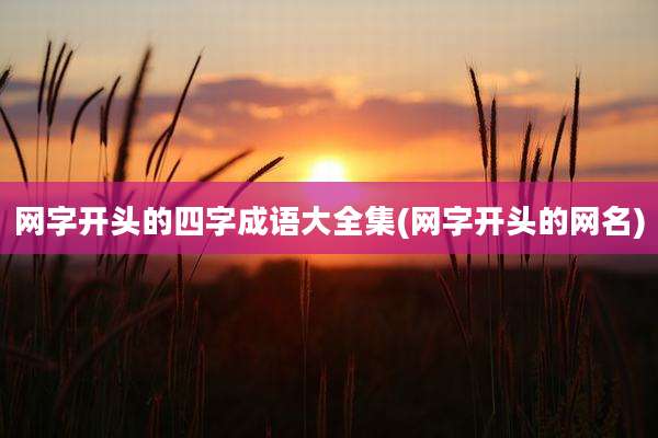 网字开头的四字成语大全集(网字开头的网名)