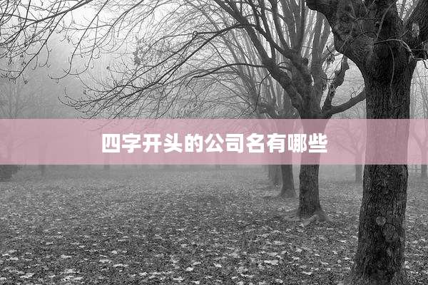 四字开头的公司名有哪些