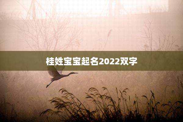 桂姓宝宝起名2022双字