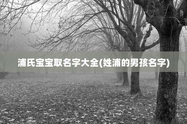 浦氏宝宝取名字大全(姓浦的男孩名字)