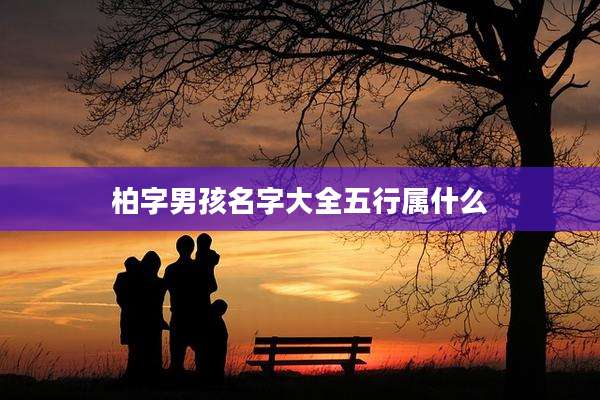 柏字男孩名字大全五行属什么