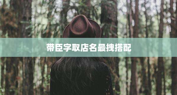 带臣字取店名最拽搭配