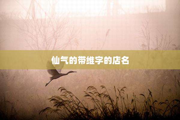 仙气的带维字的店名