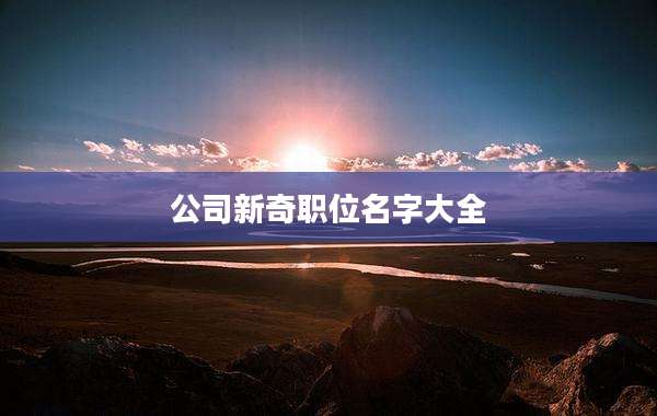 公司新奇职位名字大全