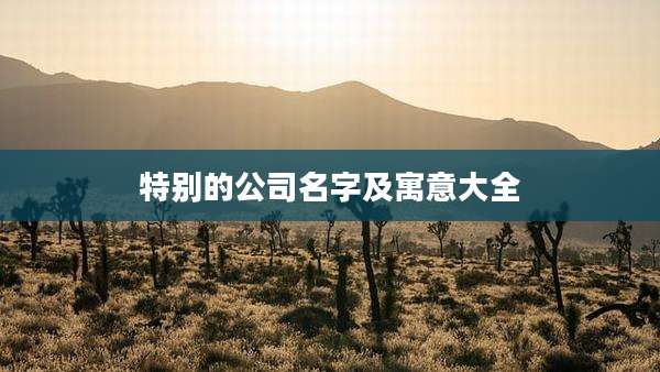 特别的公司名字及寓意大全