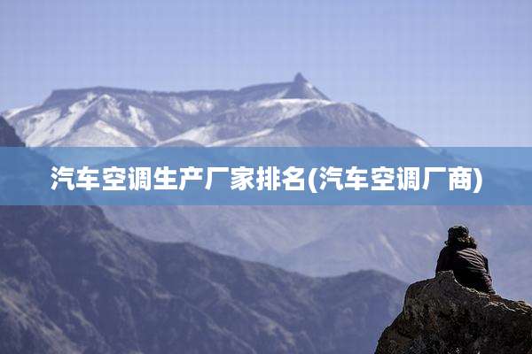 汽车空调生产厂家排名(汽车空调厂商)