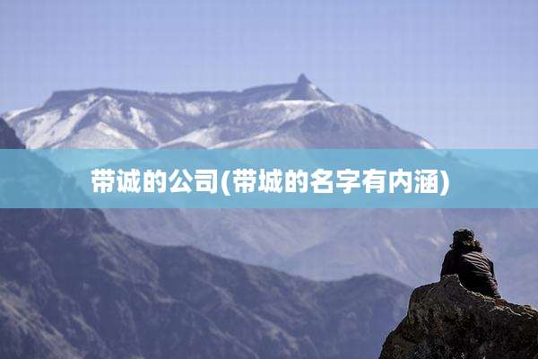 带诚的公司(带城的名字有内涵)