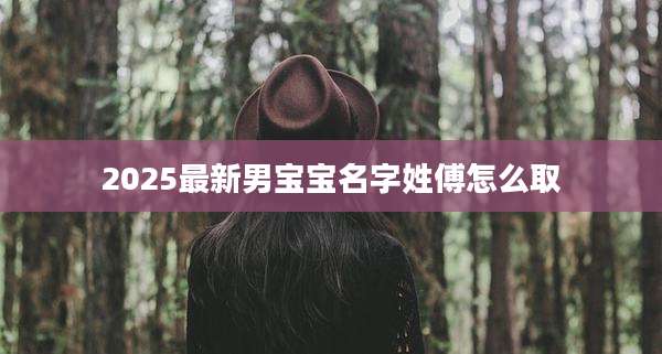 2025最新男宝宝名字姓傅怎么取