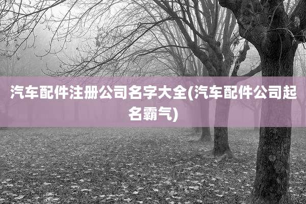 汽车配件注册公司名字大全(汽车配件公司起名霸气)