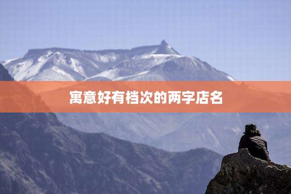 寓意好有档次的两字店名