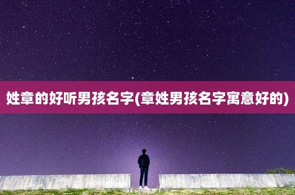 姓章的好听男孩名字(章姓男孩名字寓意好的)