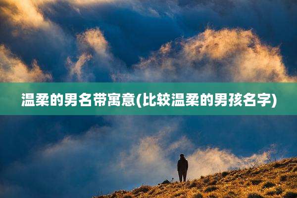 温柔的男名带寓意(比较温柔的男孩名字)