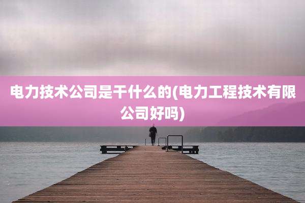 电力技术公司是干什么的(电力工程技术有限公司好吗)