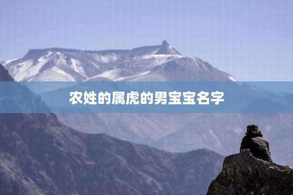 农姓的属虎的男宝宝名字