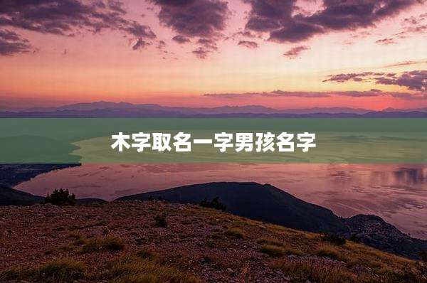 木字取名一字男孩名字