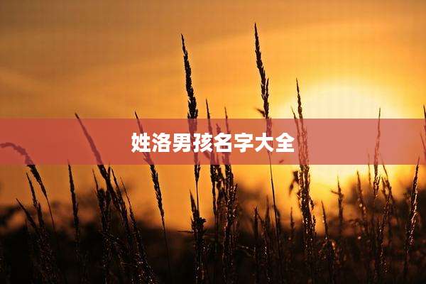 姓洛男孩名字大全