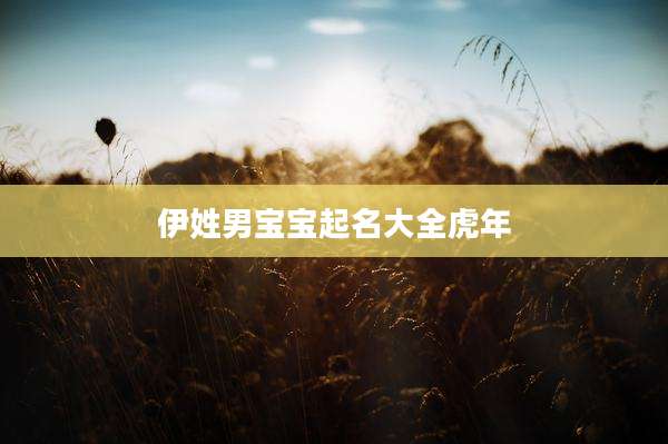 伊姓男宝宝起名大全虎年
