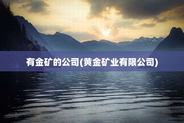 有金矿的公司(黄金矿业有限公司)