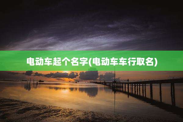 电动车起个名字(电动车车行取名)
