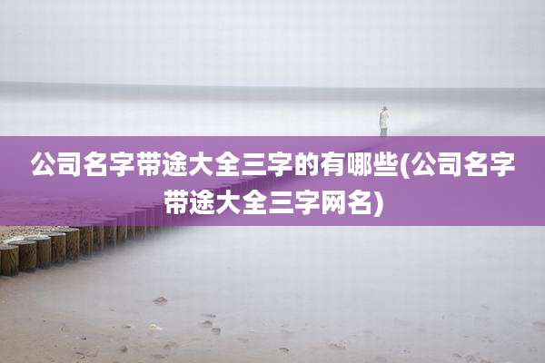 公司名字带途大全三字的有哪些(公司名字带途大全三字网名)