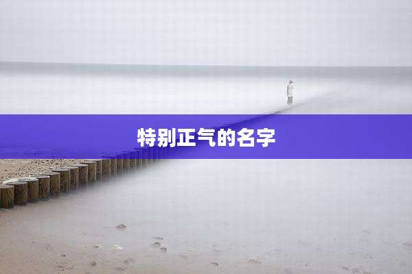 特别正气的名字