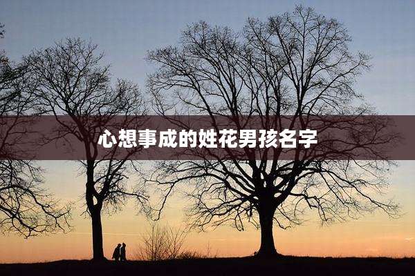 心想事成的姓花男孩名字
