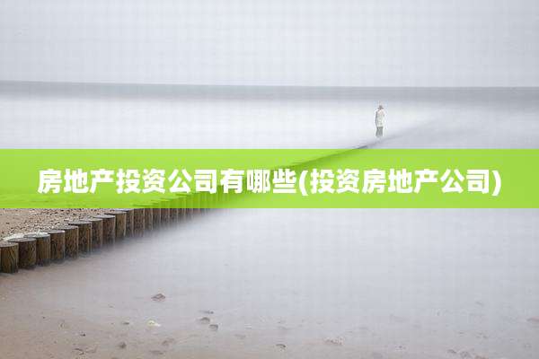 房地产投资公司有哪些(投资房地产公司)