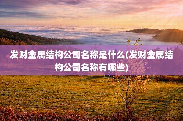 发财金属结构公司名称是什么(发财金属结构公司名称有哪些)