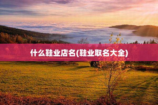 什么鞋业店名(鞋业取名大全)