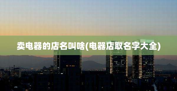 卖电器的店名叫啥(电器店取名字大全)